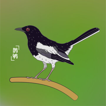 鵲鴝