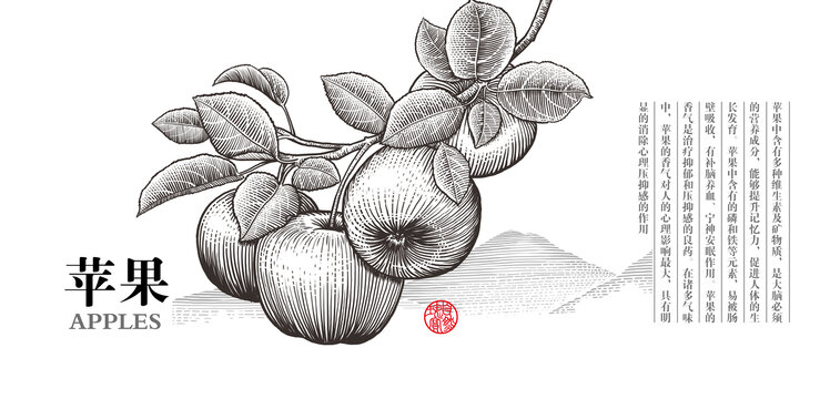 版畫風(fēng)格線條蘋果