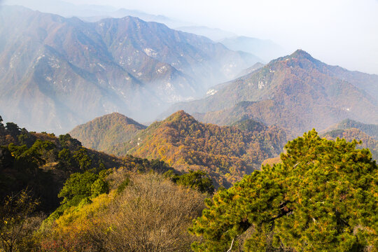 秦岭山