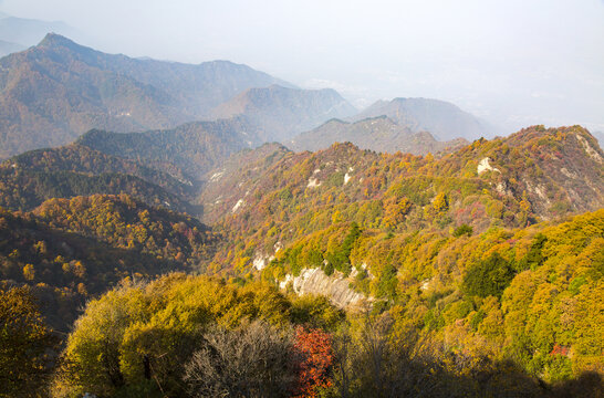 终南山秋景