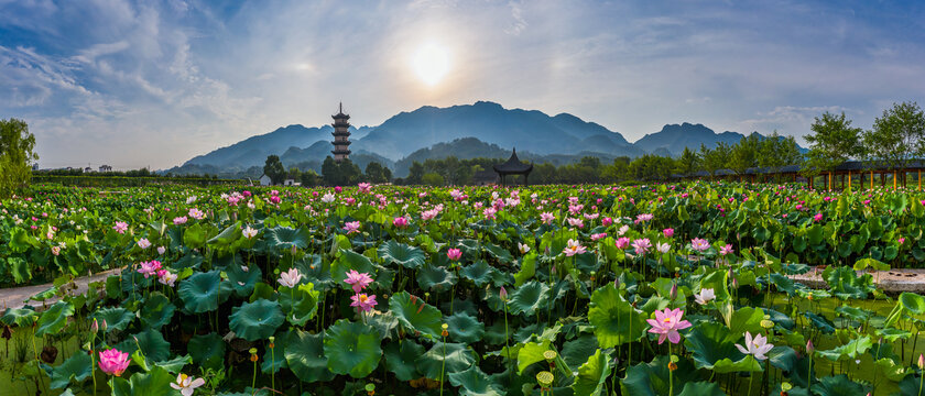 浙江武义十里荷花景区全景