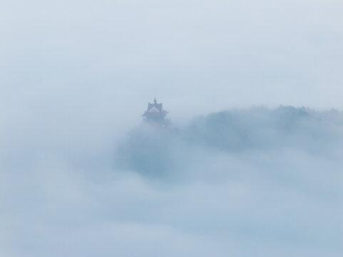 武汉东湖磨山风景区初冬风光