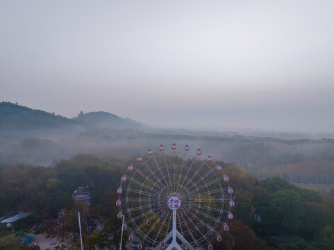 武汉东湖磨山风景区初冬风光