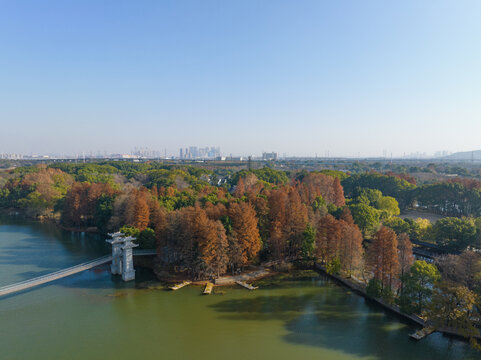 武汉东湖落雁岛风景区深秋风光