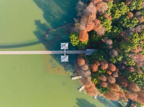 武汉东湖落雁岛风景区深秋风光