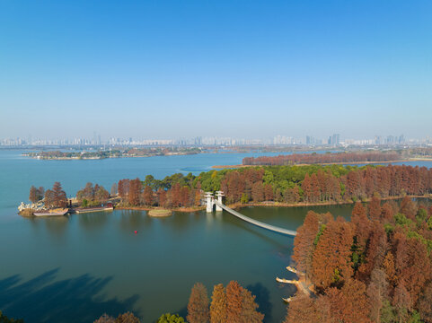 武汉东湖落雁岛风景区深秋风光