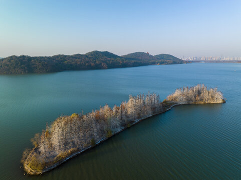 武汉东湖落雁岛风景区深秋风光