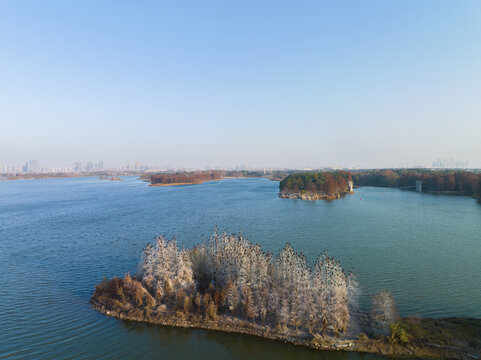 武汉东湖落雁岛风景区深秋风光