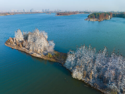 武汉东湖落雁岛风景区深秋风光