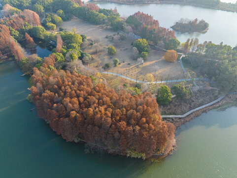 武汉东湖落雁岛风景区深秋风