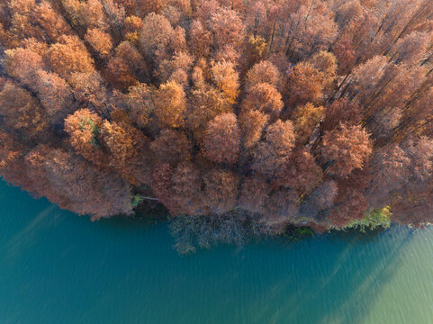 武汉东湖落雁岛风景区深秋风