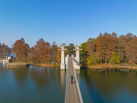 武汉东湖落雁岛风景区深秋风光