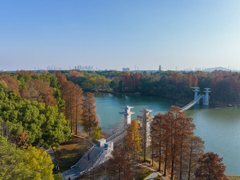 武汉东湖落雁岛风景区深秋风光