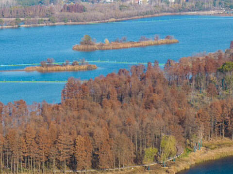 武汉东湖落雁岛风景区深秋风光