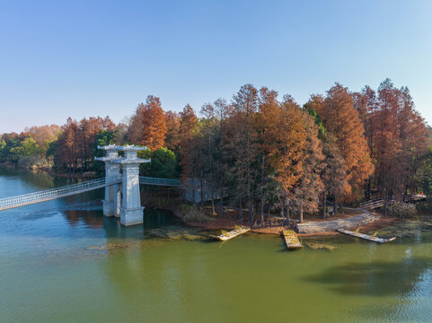 武汉东湖落雁岛风景区深秋风光