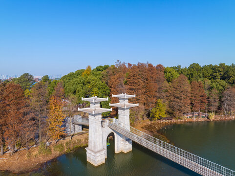 武汉东湖落雁岛风景区深秋风光