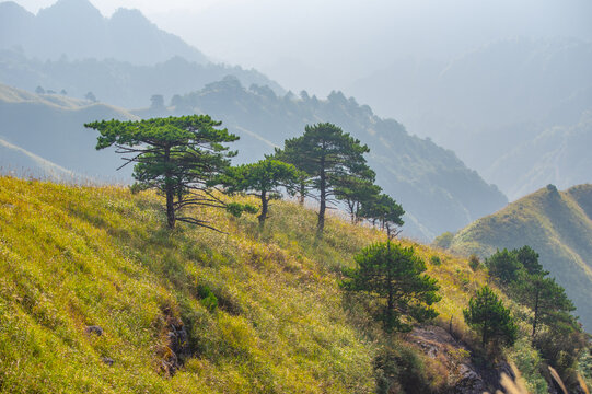 武功山地质公园初秋自然风光