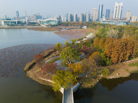 武汉汉阳月湖公园深秋风光