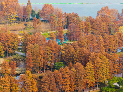 武汉东湖风景区深秋风光