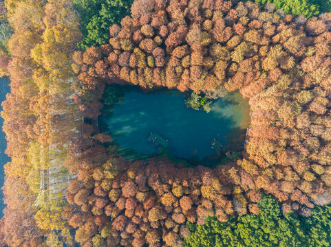 武汉东湖风景区深秋风光