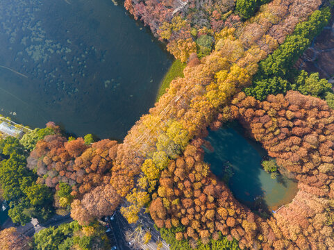 武汉东湖风景区深秋风光