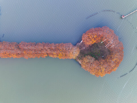 武汉东湖风景区深秋风光