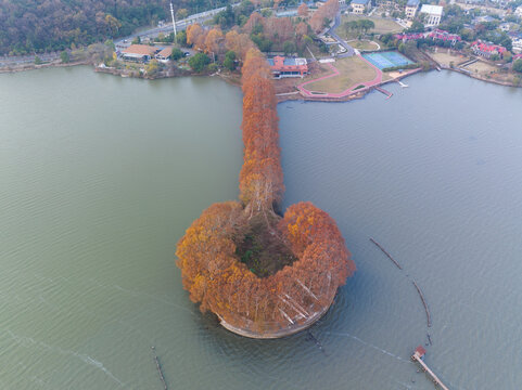 武汉东湖风景区深秋风光