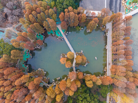 武汉东湖风景区深秋风光