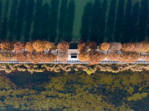 武汉东湖风景区深秋风光