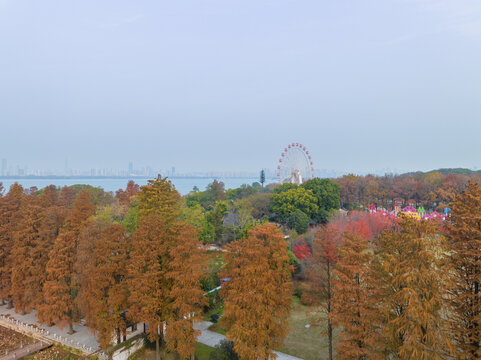 武汉东湖风景区深秋风光