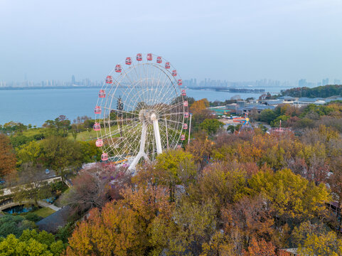 武汉东湖风景区深秋风光