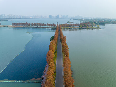 武汉东湖风景区深秋风光