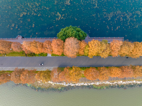 武汉东湖风景区深秋风光