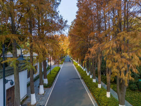 武汉东湖风景区深秋风光