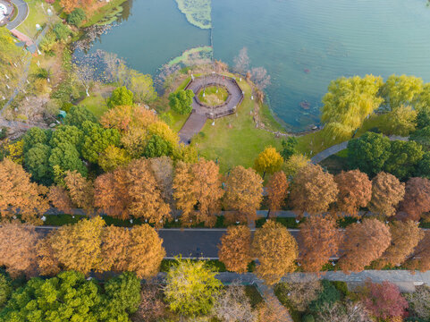 武汉东湖风景区深秋风光