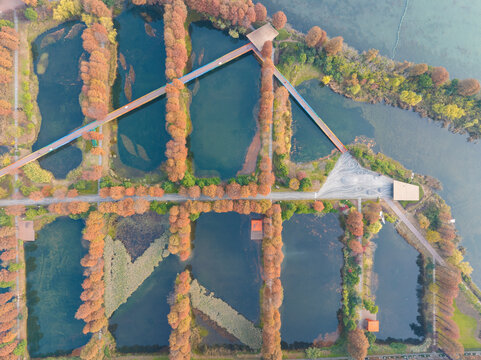 武汉东湖风景区深秋风光