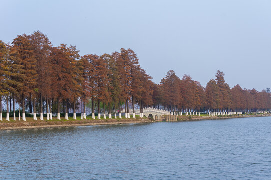 武汉东湖风景区深秋风光