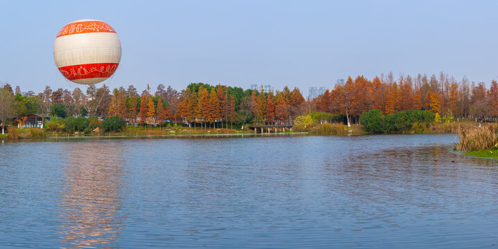 武汉东湖风景区深秋风光