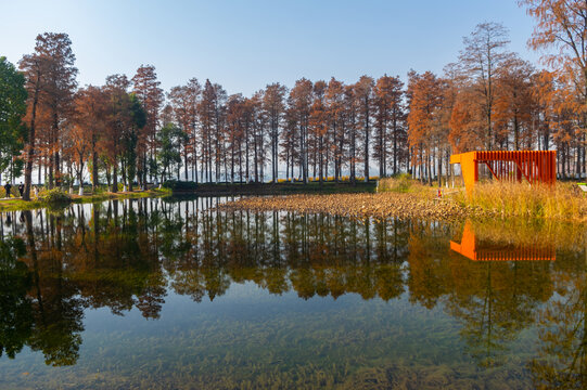 武汉东湖风景区深秋风光