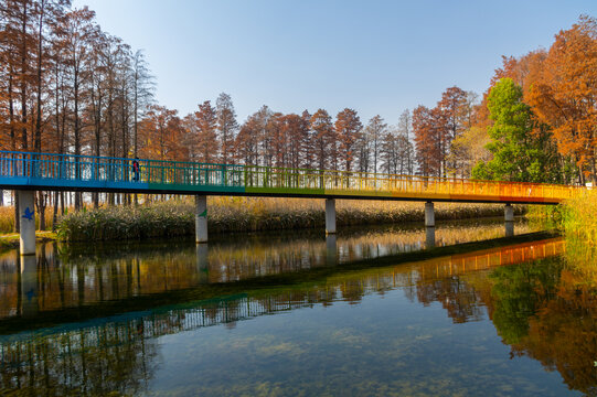 武汉东湖风景区深秋风光