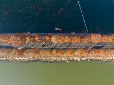 武汉东湖风景区深秋风光