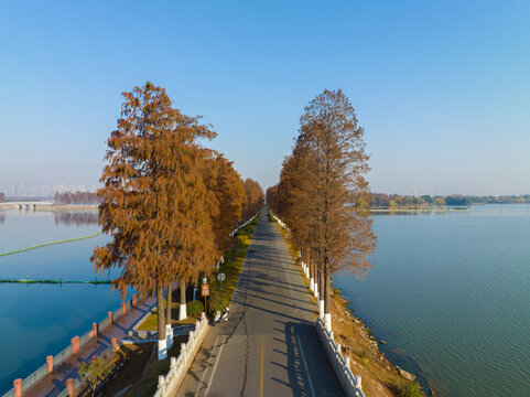 武汉东湖风景区深秋风光