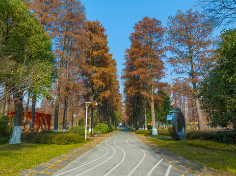 武汉东湖风景区深秋风光