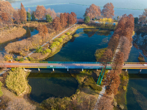 武汉东湖风景区深秋风光