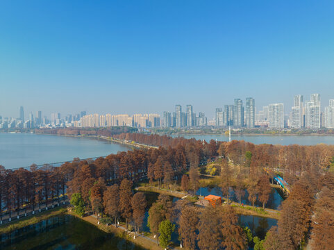 武汉东湖风景区深秋风光