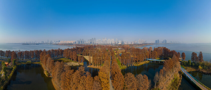 武汉东湖风景区深秋风光