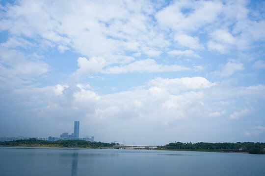 深圳湾人才公园