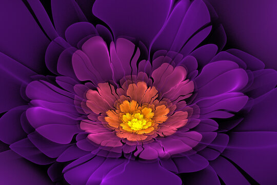 高贵紫色花朵背景