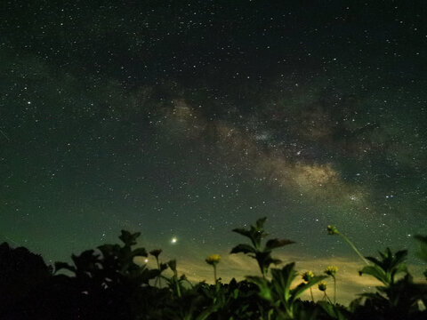 星空银河与花丛