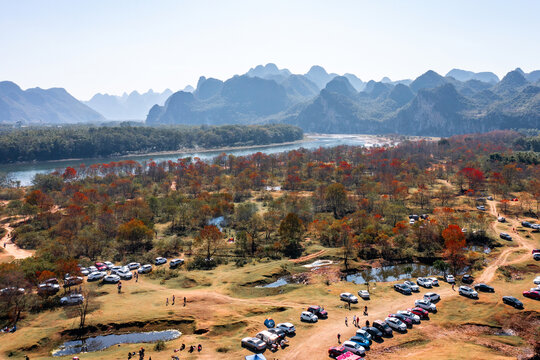 广西桂林竹江乌桕滩景区红叶